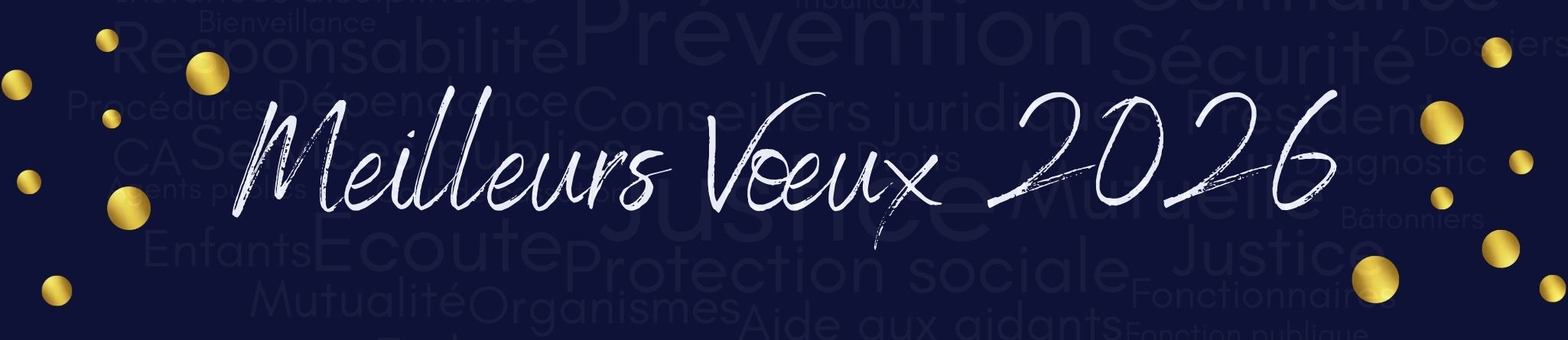 bonne année 2026 mmj