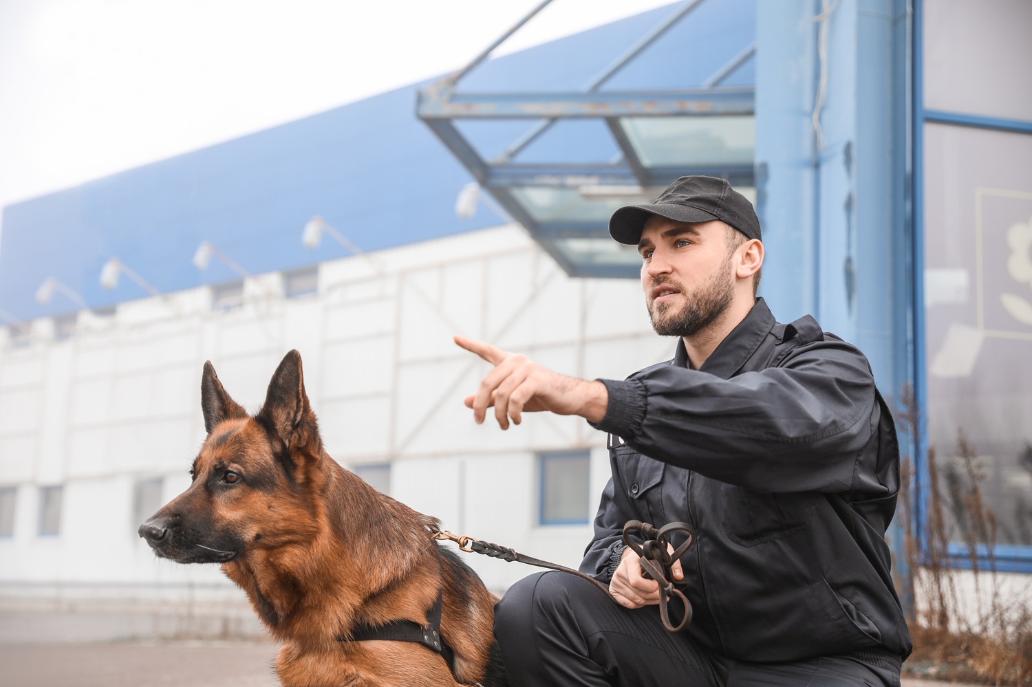maitre chien 