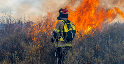 pompier devant un feu de forêt