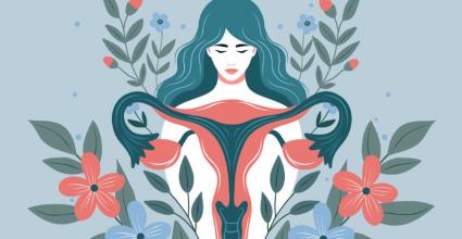 illustration femme organe féminin