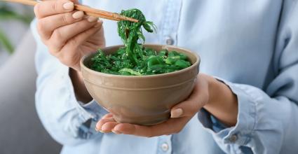 algues_actu_mmj_sante_alimentation