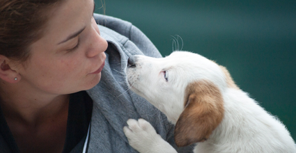 chiens, aide psycologique
