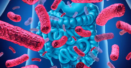 Covid-19 et microbiote intestinale, quel lien ? 