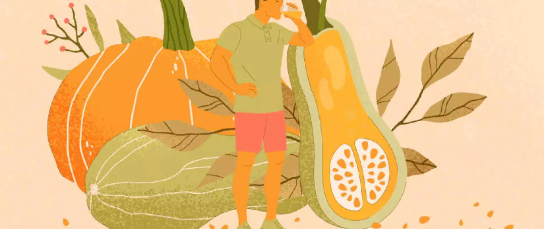illustration article_sante_mmj_graine_de_courge
