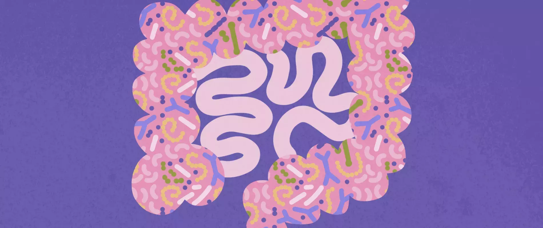 illustration intestin mutuelle mmj