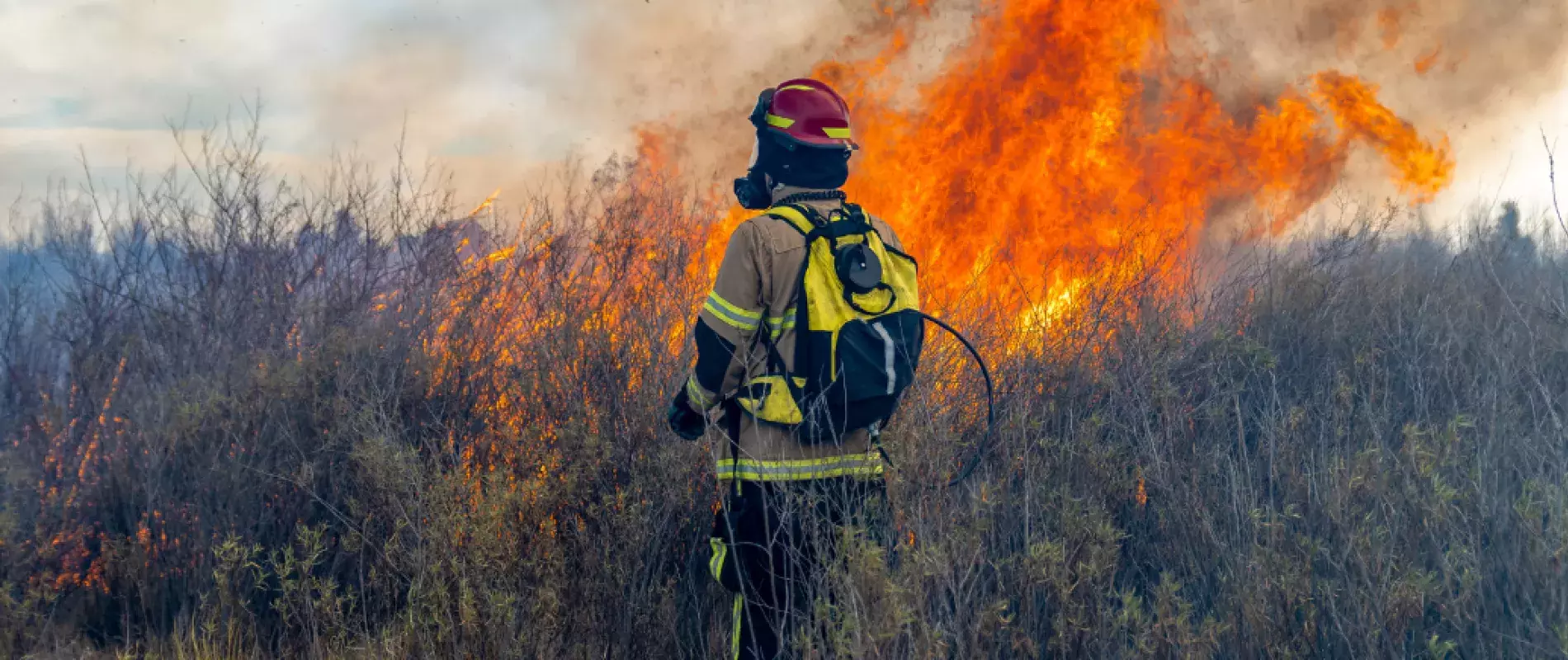 pompier devant un feu de forêt