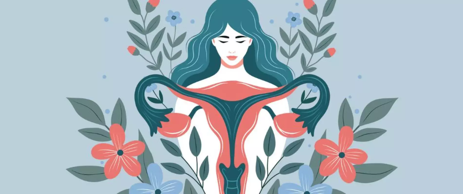 illustration femme organe féminin