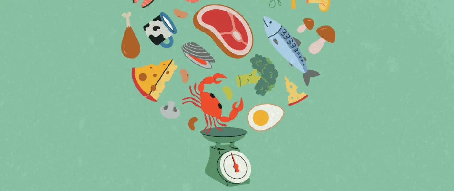 alimentation 