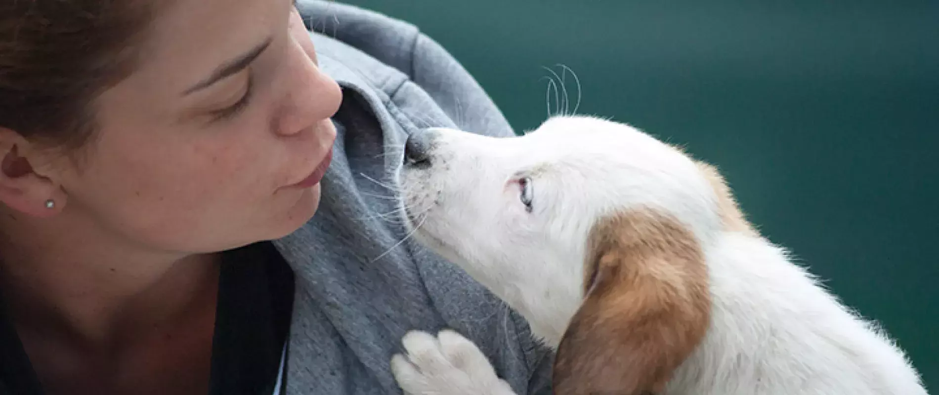 chiens, aide psycologique