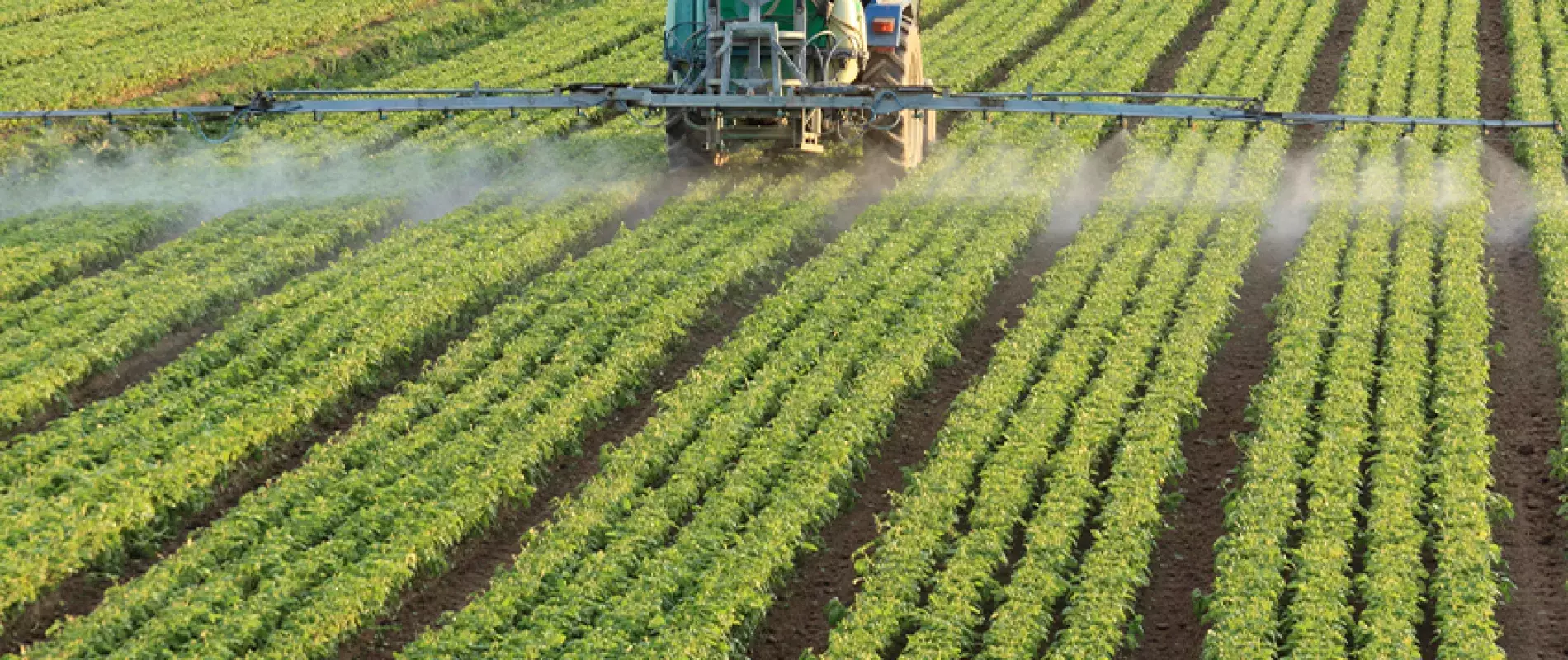 glyphosates dans l'agriculture