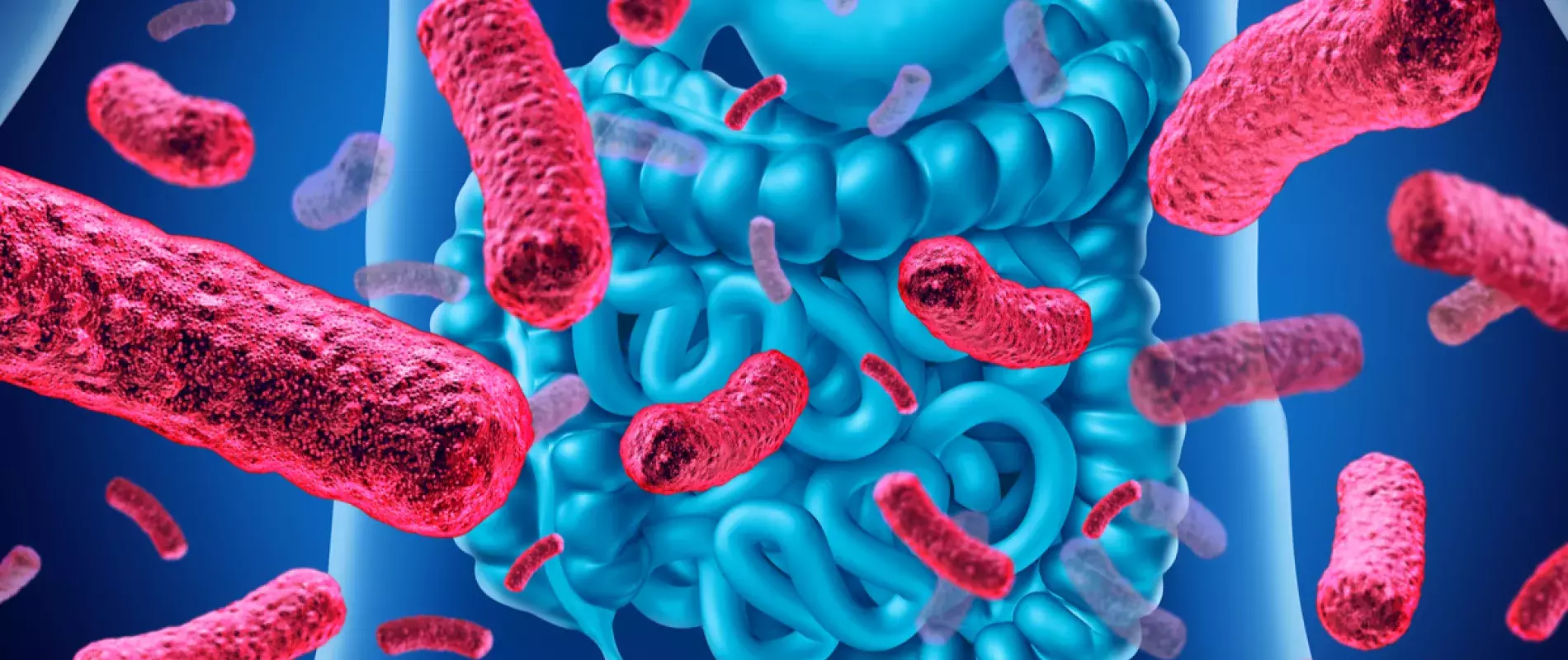 Covid-19 et microbiote intestinale, quel lien ?