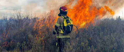 pompier devant un feu de forêt