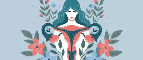illustration femme organe féminin