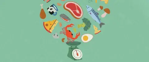 alimentation 