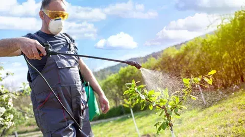 Impact des pesticides sur le santé des français