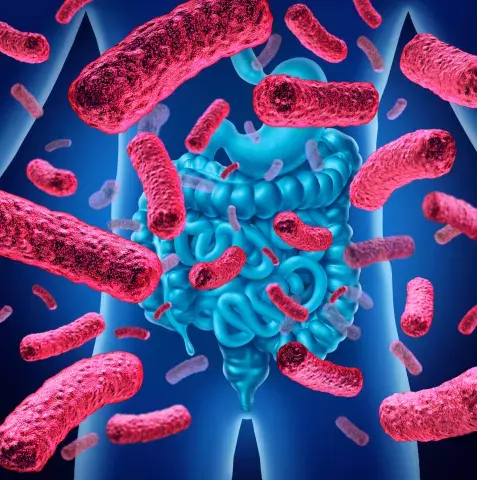 Covid-19 et microbiote intestinale, quel lien ? 