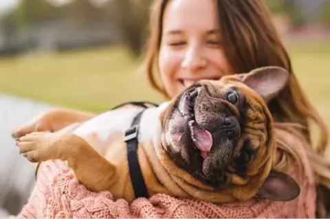 bienfaits des animaux de compagnie, chien