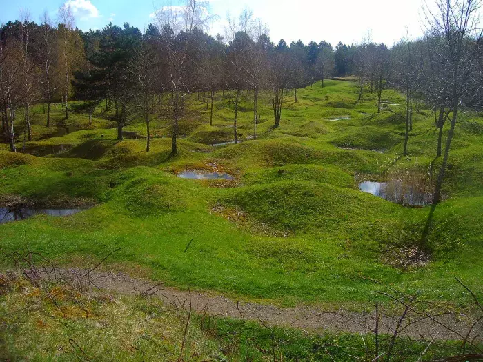 forêt de verdun